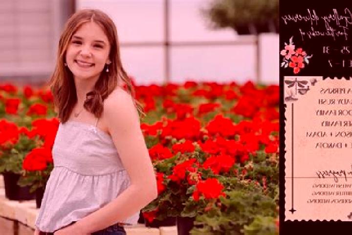 Madison, 29 — Escort in Harwick, United States