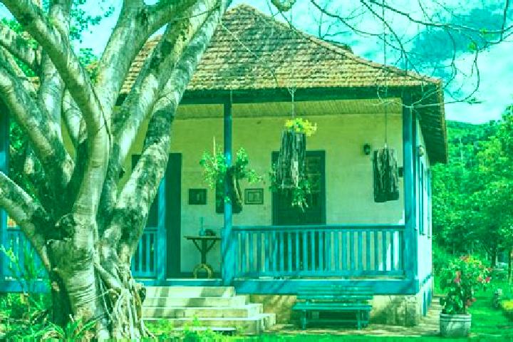Madison, 29 — Escort in Santa Maria de Jetiba, Brazil