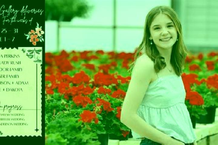 Madison, 30 — Escort in Kanjiza, Serbia