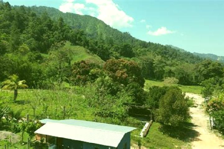 Madison, 30 — Escort in Paujiles, Honduras