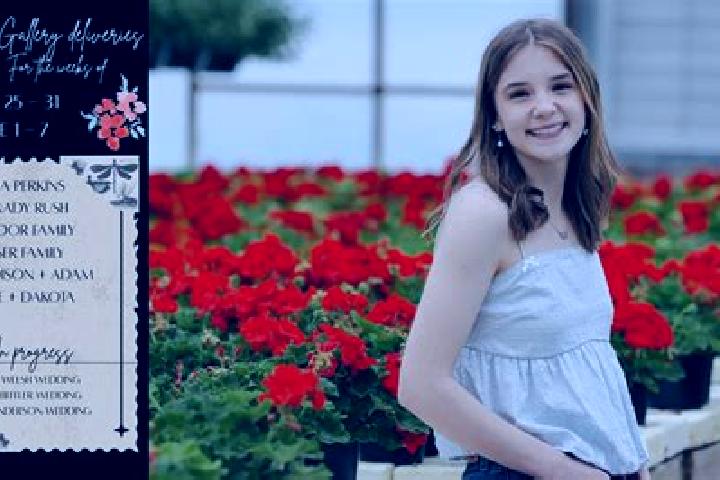 Madison, 30 — Escort in Tracyton, United States