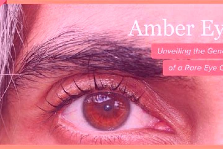 Madison, 31, a black amber-eyed mediterranean companion based in Riviere-Verte. Offering Fetish, Dinner Date, A-Level, Party Girl, OWO. Available for incall ...