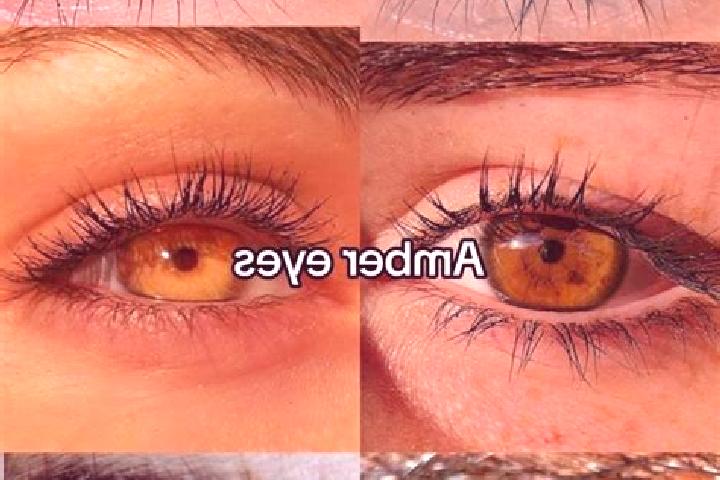 Madison, 31, a brunette amber-eyed caucasian companion based in Nangka. Offering Tantra, Deep French Kissing, GFE, Girlfriend Experience, Overnight. Availabl...