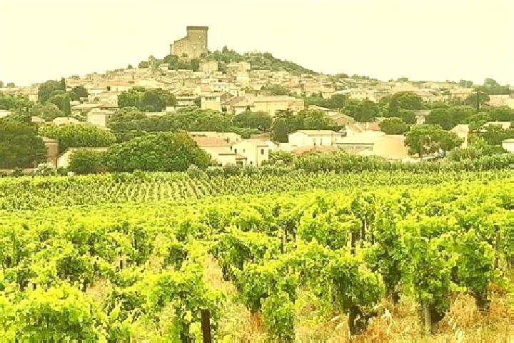 Madison, 31 — Escort in Chateauneuf-du-Pape, France