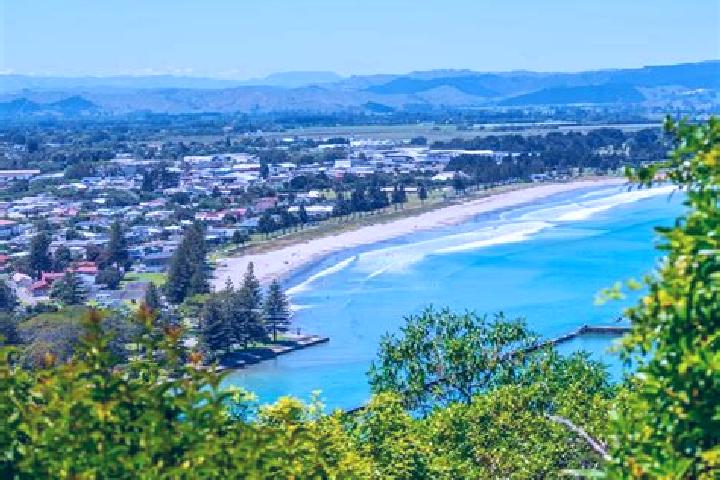 Madison, 31 — Escort in Kaiti, New Zealand