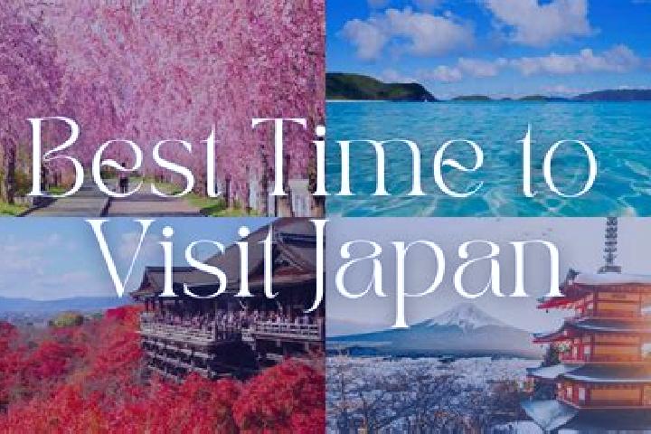 Madison, 31 — Escort in Mizusawa, Japan