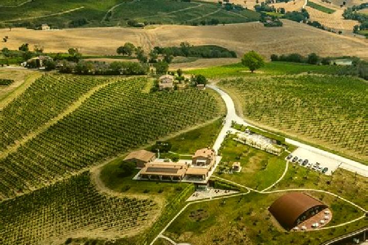 Madison, 31 — Escort in Poggio San Marcello, Italy