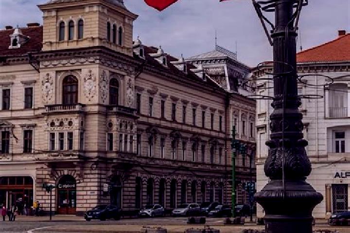 Madison, 31 — Escort in Zegujani, Romania