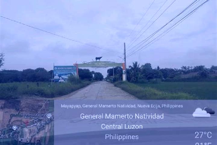 Madison, 33 — Escort in General Mamerto Natividad, Philippines