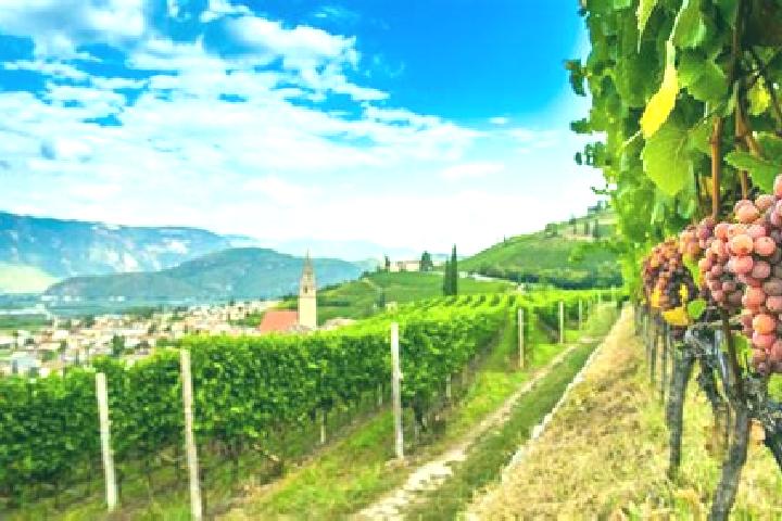 Madison, 34, a red grey-eyed caribbean companion based in Cortaccia sulla Strada del Vino. Offering 69, GFE, Duos, Erotic Massage. Available for incall and o...