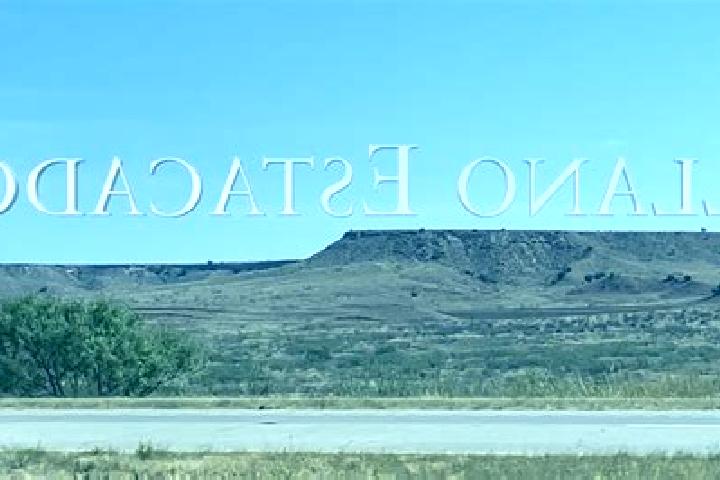 Madison, 34 — Escort in Llano Nuevo, Mexico