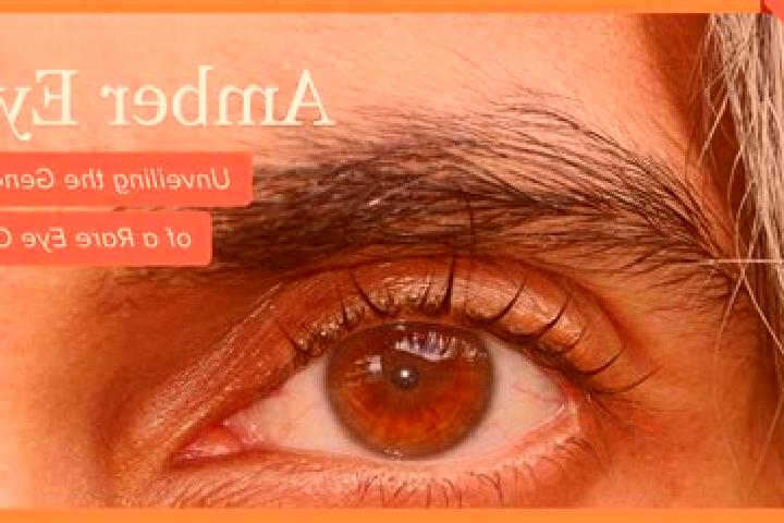 Madison, 35, a red amber-eyed mediterranean companion based in Nova Vas. Offering Striptease, Tantra, Couples, Massage. Available for incall and outcall, day...