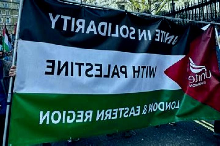 Madison, 35 — Escort in An Naqurah, Palestine