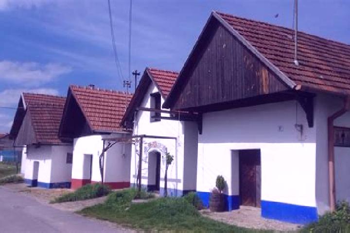 Madison, 35 — Escort in Blatnice pod Svatym Antoninkem, Czech Republic