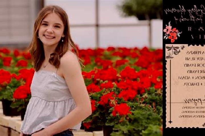 Madison, 35 — Escort in Chiesd, Romania