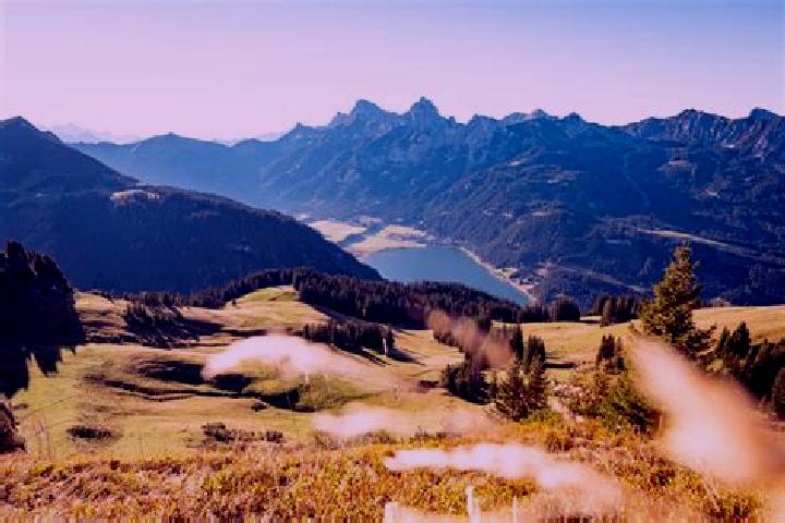 Madison, 35 — Escort in Gunzwil, Switzerland