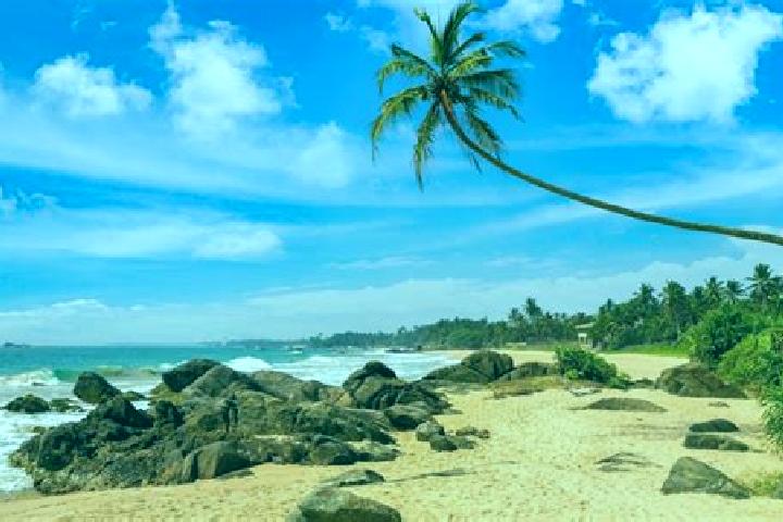 Madison, 36 — Escort in Ambalangoda, Sri Lanka