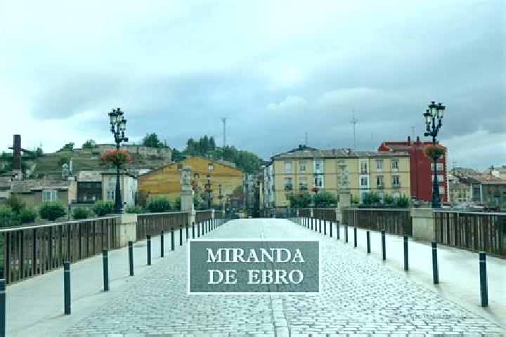 Madison, 36 — Escort in El Burgo de Ebro, Spain