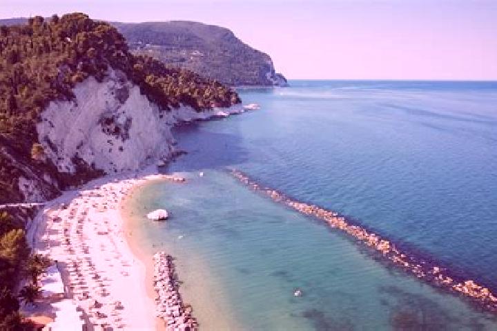 Madison, 36 — Escort in Torremezzo di Falconara, Italy
