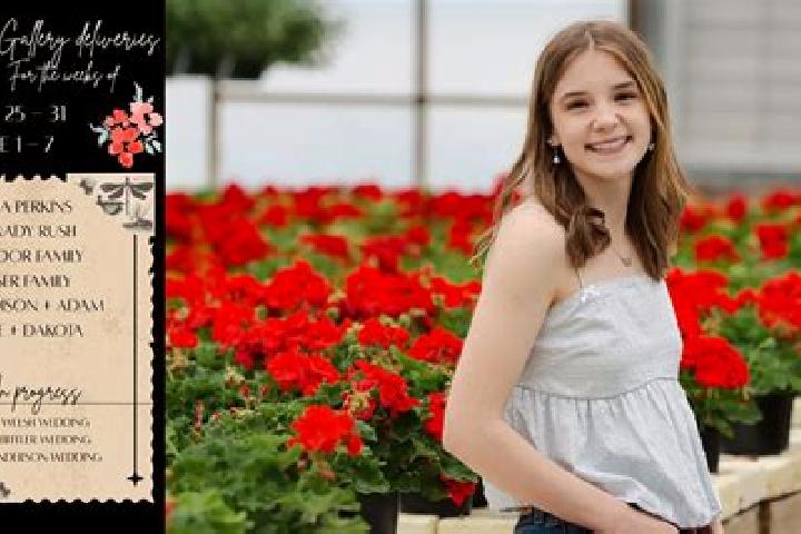 Madison, 36 — Escort in Wardin, Belgium