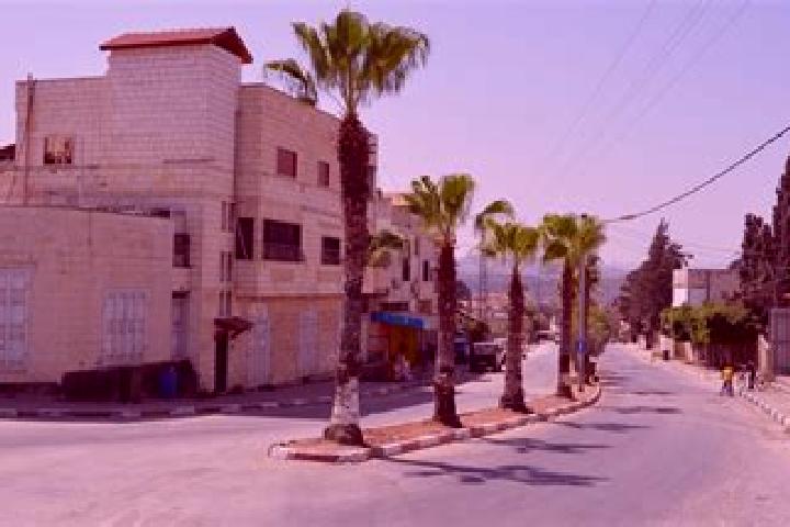 Madison, 38 — Escort in Ya bad, Palestine