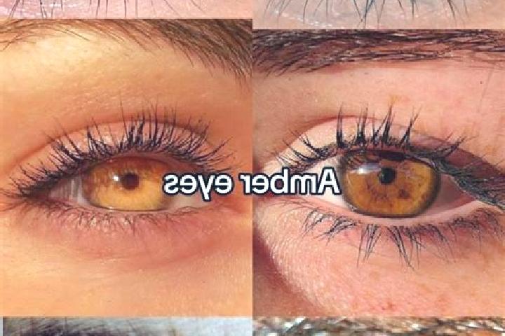 Madison, 39, a chestnut amber-eyed mixed companion based in La Possonniere. Offering OWO, Erotic Massage, Massage, Dinner Date. Available for incall and outc...