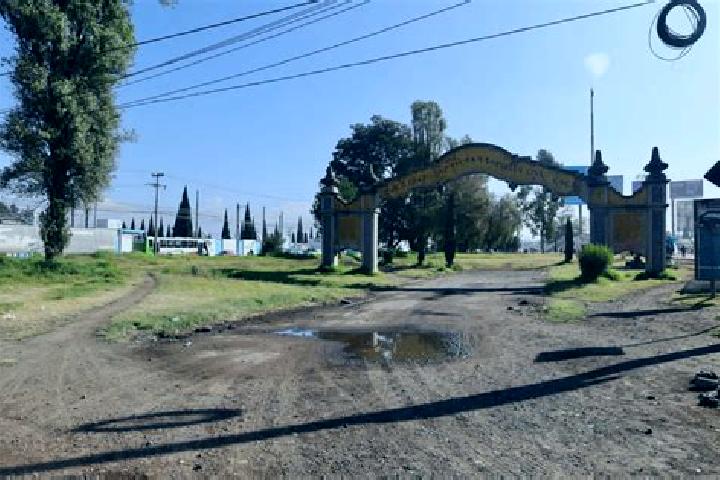 Madison, 39 — Escort in Colonia la Concepcion, Mexico