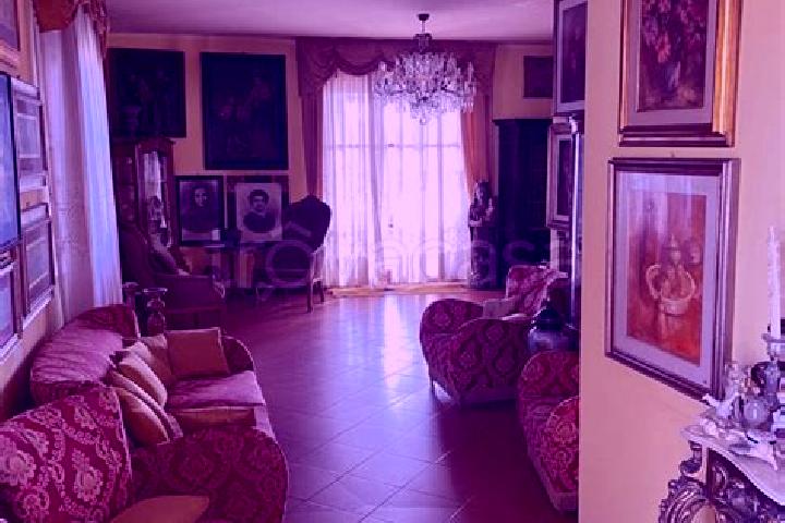 Madison, 39 — Escort in Donigala Fenugheddu, Italy