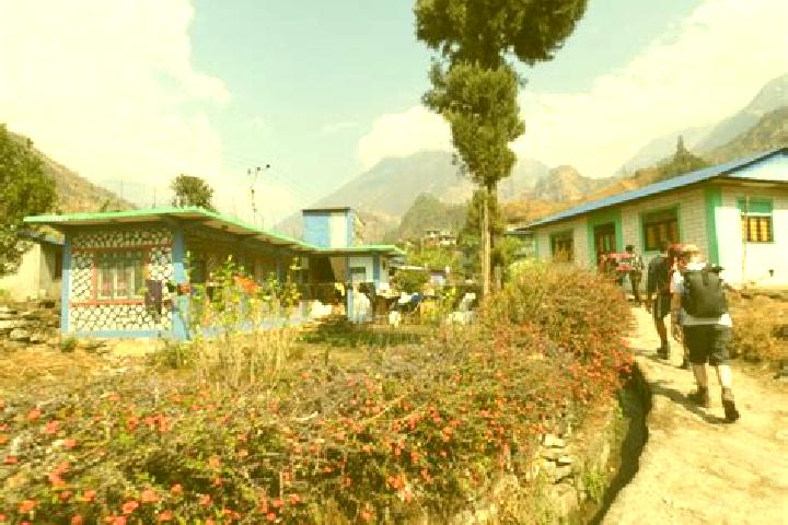 Madison, 39 — Escort in Lahan, Nepal