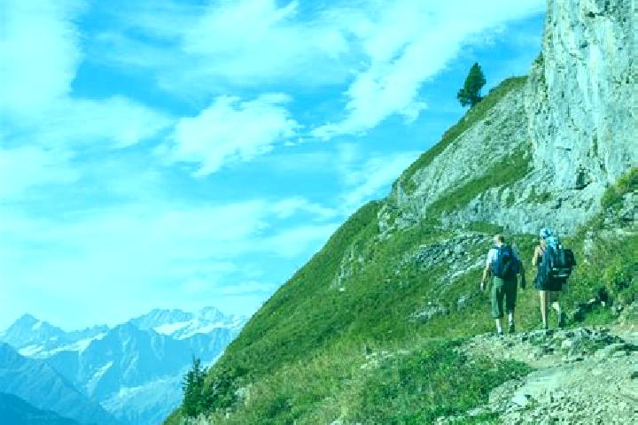 Madison, 39 — Escort in Niederlenz, Switzerland