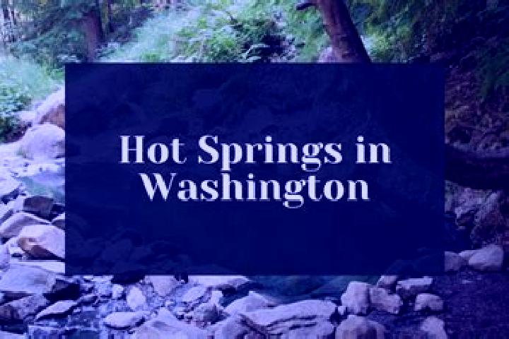 Madison, 39 — Escort in Patrick Springs, United States