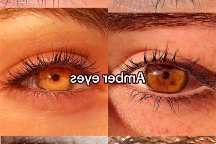 Maya, 20, a brunette amber-eyed middle eastern companion based in Lamme. Offering OWO, GFE, Dinner Date, BDSM. Available for incall and outcall, overnight bo...