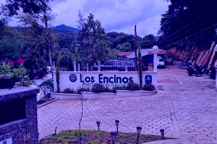 Maya, 20 — Escort in Los Encinos, Mexico