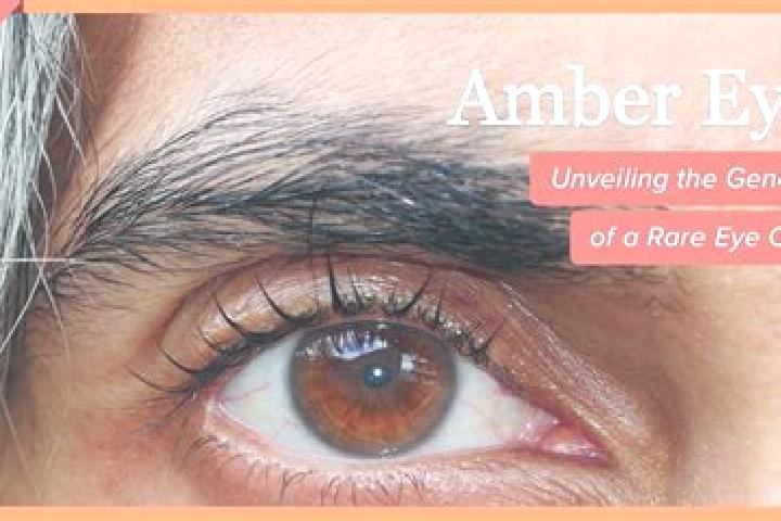 Maya, 25, a red amber-eyed mediterranean companion based in Montignac. Offering Domination, Striptease, OWO. Available for incall and outcall, day and evenin...