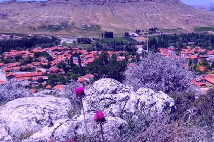 Maya, 25 — Escort in Karahamzali, Turkey