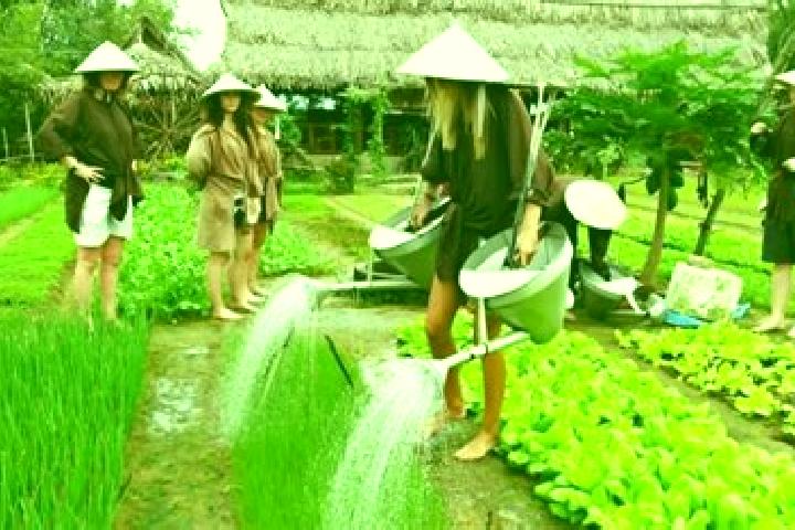 Maya, 25 — Escort in Tra Que Vegetable Village, Vietnam