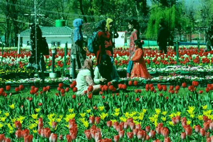 Maya, 26 — Escort in Surkh Bilandi, Afghanistan