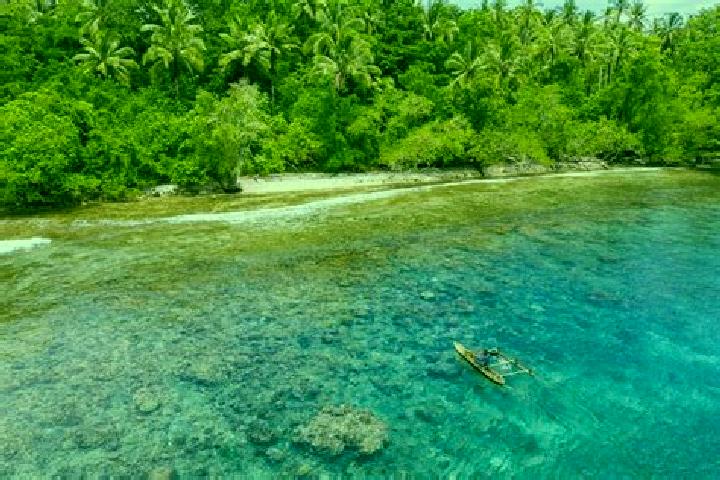 Maya, 27 — Escort in Kimbe, Papua New Guinea