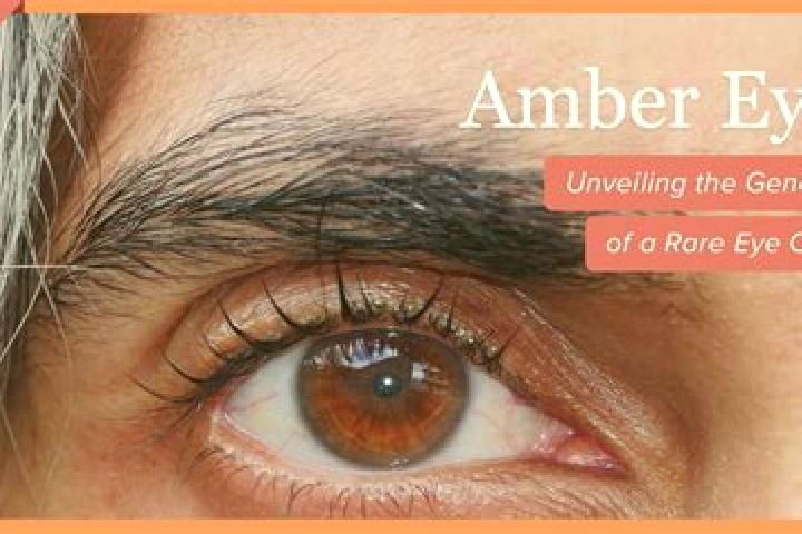 Maya, 28, a black amber-eyed slavic companion based in Lefkada. Offering Duos, 69, Fetish, Massage. Available for incall and outcall, day and evening dates.