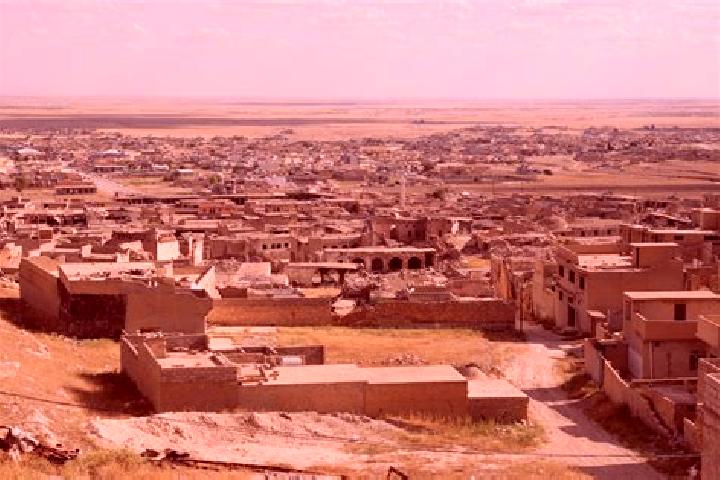 Maya, 30 — Escort in Sinjar, Iraq