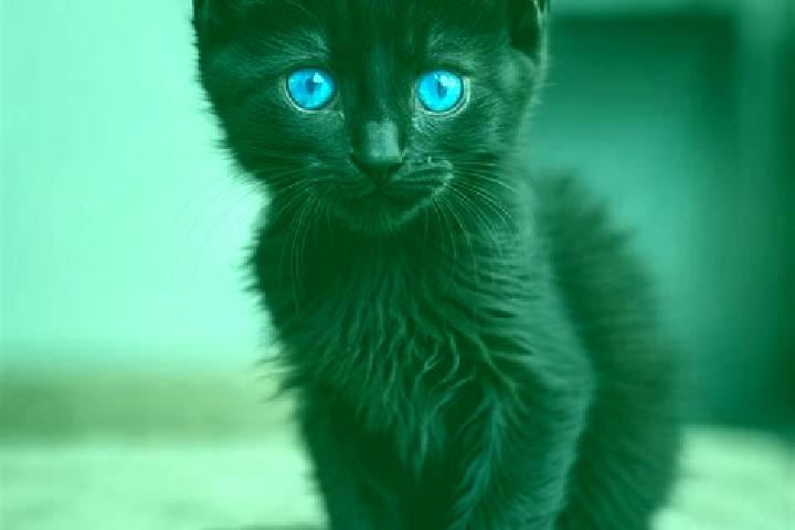 Maya, 32, a black blue-eyed mediterranean companion based in Tegalrejo. Offering GFE, Deep French Kissing, Prostate Massage, Massage. Available for incall an...