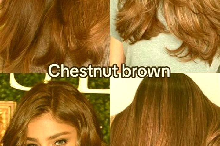Maya, 35, a chestnut brown-eyed mixed companion based in Karanganyar. Offering Overnight, Tantra, 69, Dinner Date. Available for incall and outcall, overnigh...