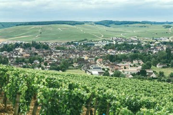 Maya, 35 — Escort in Chablis, France