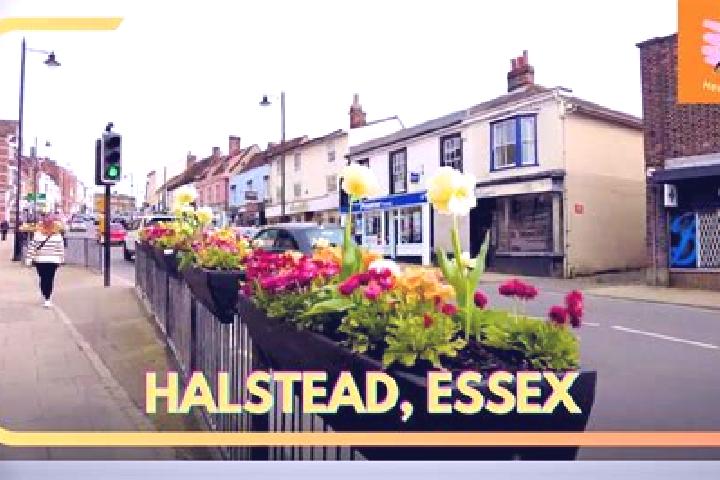 Maya, 35 — Escort in Halstead, United States