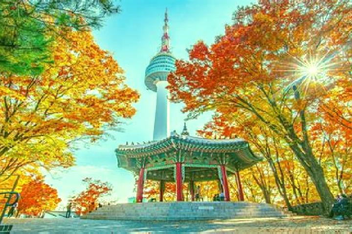 Maya, 35 — Escort in Namsan, North Korea