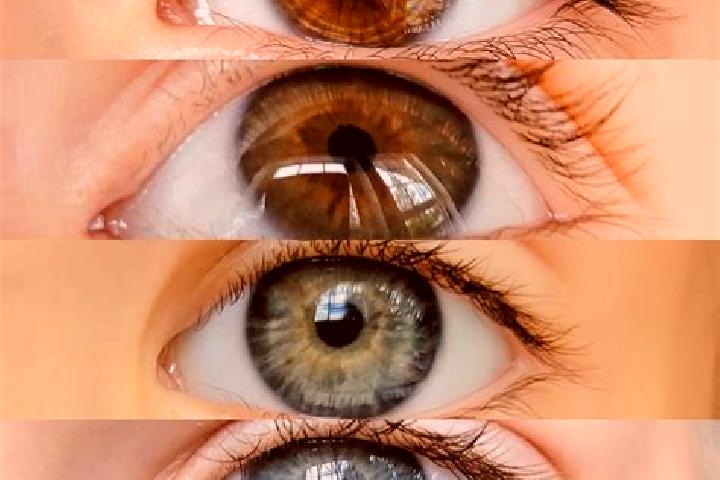 Maya, 38, a chestnut grey-eyed mixed companion based in Witzhave. Offering Fetish, GFE, Duos, Tantra, Striptease. Available for incall and outcall, overnight...