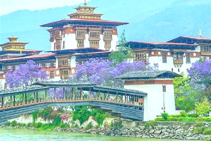 Maya, 38 — Escort in Punakha, Bhutan