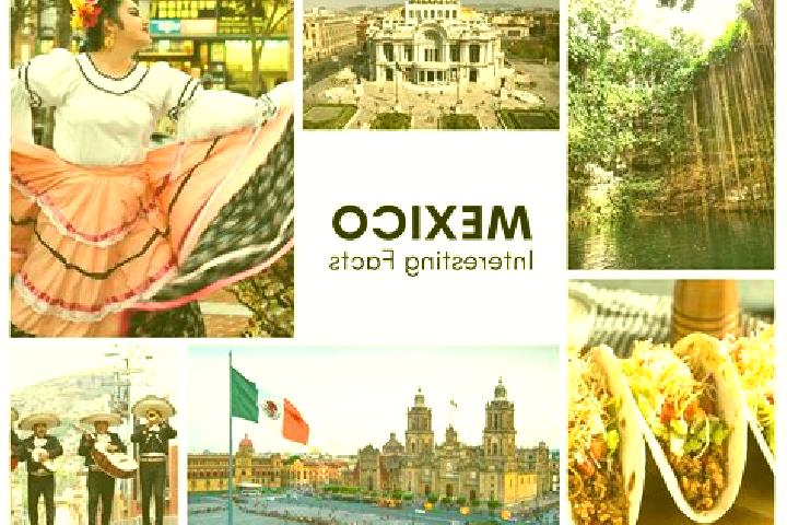 Maya, 38 — Escort in Taxadho, Mexico