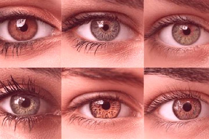 Maya, 39, a chestnut hazel-eyed middle eastern companion based in Cikamunding. Offering Couples, GFE. Available for incall and outcall, day and evening dates.