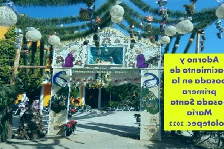 Mia, 20 — Escort in Santa Maria Zolotepec, Mexico
